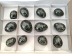 Polished Stromatolite Eggs x 12 From Katsepy, Madagascar - Toprock Gemstones and Minerals 