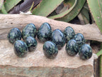 Polished Stromatolite Eggs x 12 From Katsepy, Madagascar - Toprock Gemstones and Minerals 