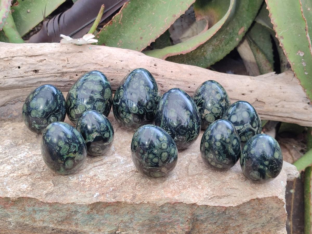 Polished Stromatolite Eggs x 12 From Katsepy, Madagascar - Toprock Gemstones and Minerals 
