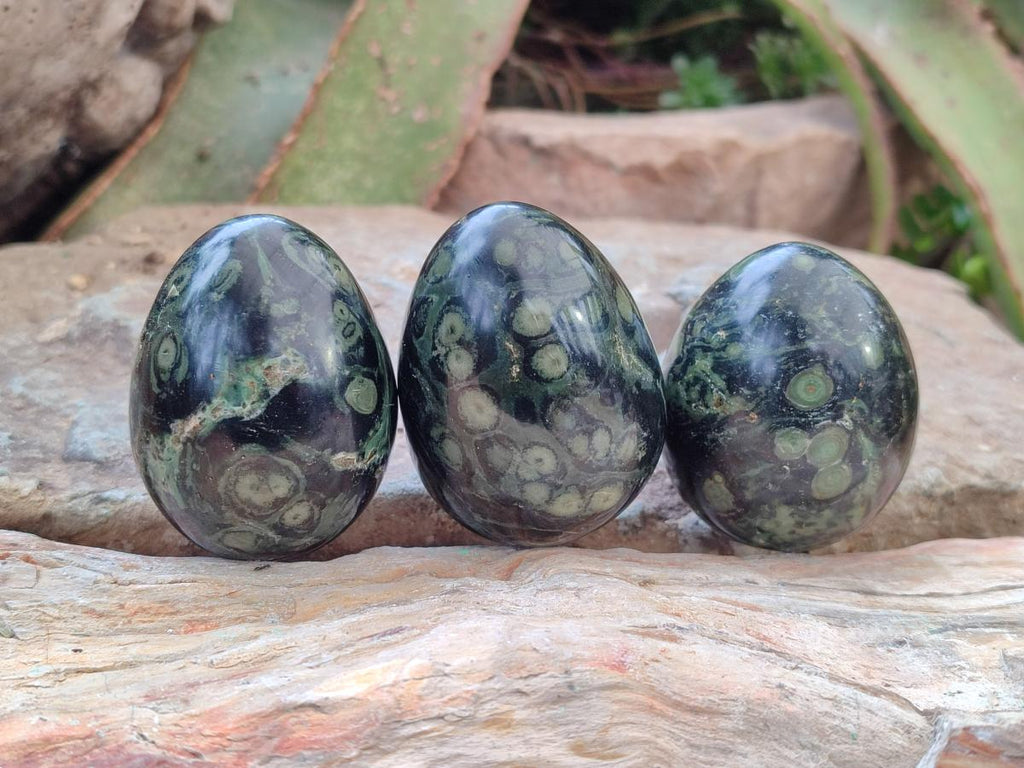 Polished Stromatolite Eggs x 12 From Katsepy, Madagascar - Toprock Gemstones and Minerals 