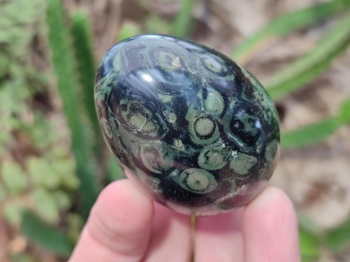 Polished Stromatolite Eggs x 12 From Katsepy, Madagascar - Toprock Gemstones and Minerals 