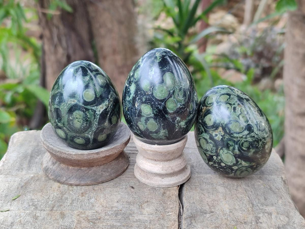 Polished Stromatolite Eggs x 12 From Katsepy, Madagascar - Toprock Gemstones and Minerals 