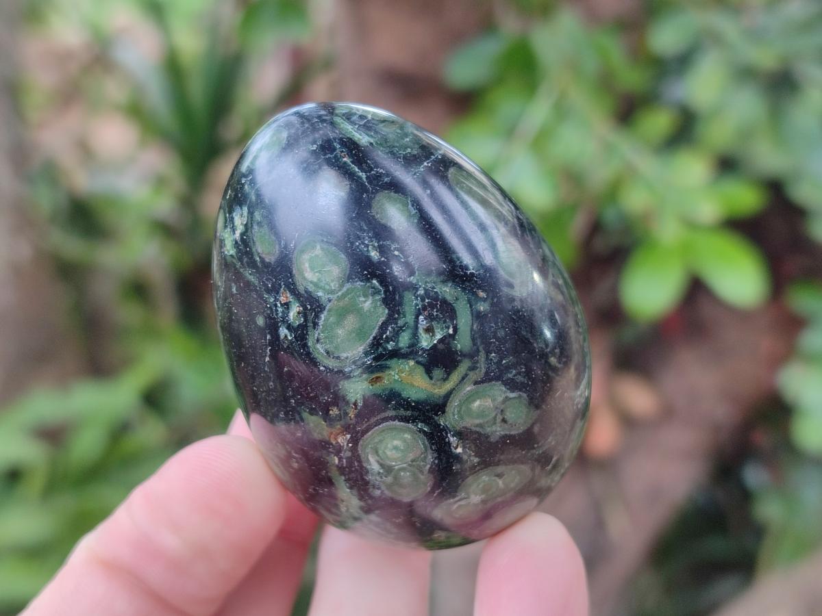 Polished Stromatolite Eggs x 12 From Katsepy, Madagascar - Toprock Gemstones and Minerals 
