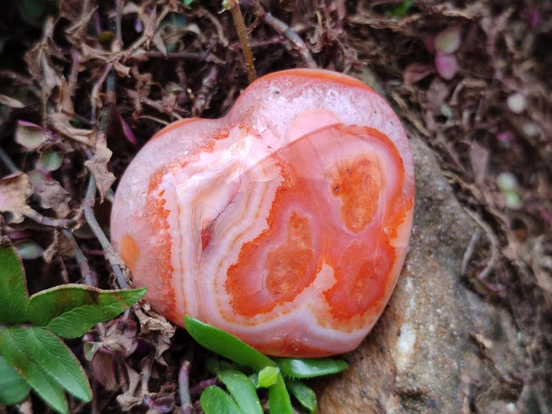 Polished Small Carnelian Agate Gemstone Hearts x 24 From Madagascar - Toprock Gemstones and Minerals 