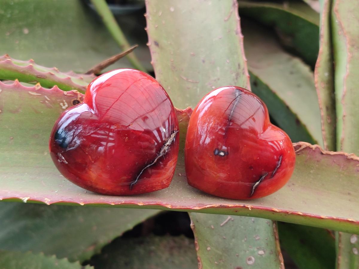Polished Small Carnelian Agate Gemstone Hearts x 24 From Madagascar - Toprock Gemstones and Minerals 