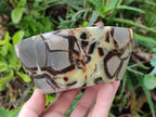 Polished Septerye Bowls x 2 From Mahajanga, Madagascar - Toprock Gemstones and Minerals 