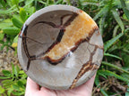 Polished Septerye Bowls x 2 From Mahajanga, Madagascar - Toprock Gemstones and Minerals 