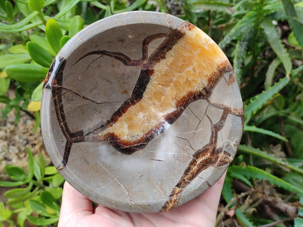 Polished Septerye Bowls x 2 From Mahajanga, Madagascar - Toprock Gemstones and Minerals 