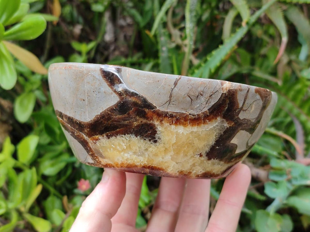 Polished Septerye Bowls x 2 From Mahajanga, Madagascar - Toprock Gemstones and Minerals 