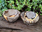 Polished Septerye Bowls x 2 From Mahajanga, Madagascar - Toprock Gemstones and Minerals 