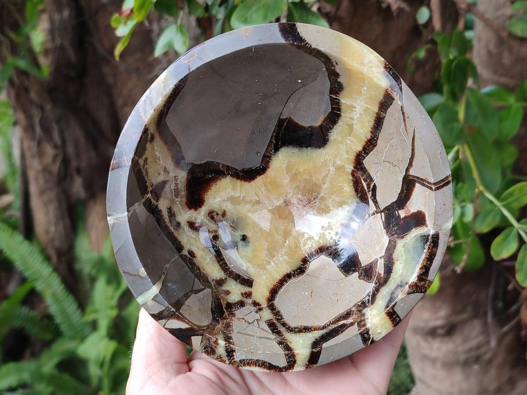 Polished Septerye Bowls x 2 From Mahajanga, Madagascar - Toprock Gemstones and Minerals 