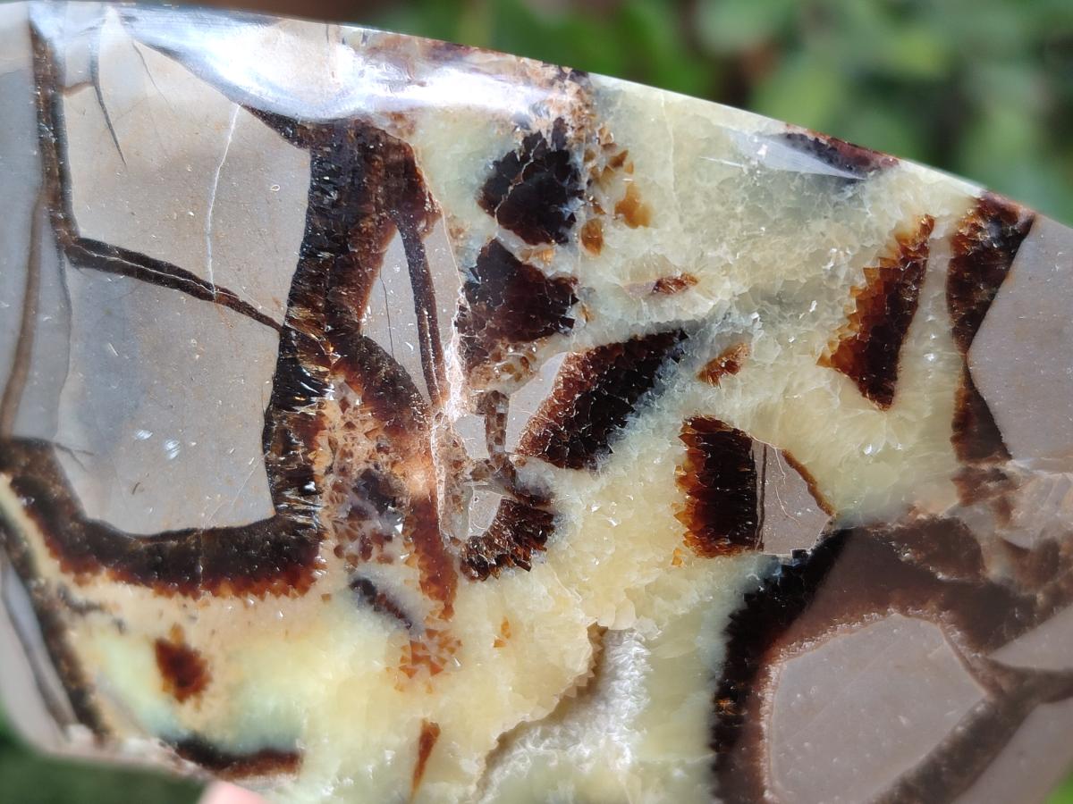 Polished Septerye Bowls x 2 From Mahajanga, Madagascar - Toprock Gemstones and Minerals 