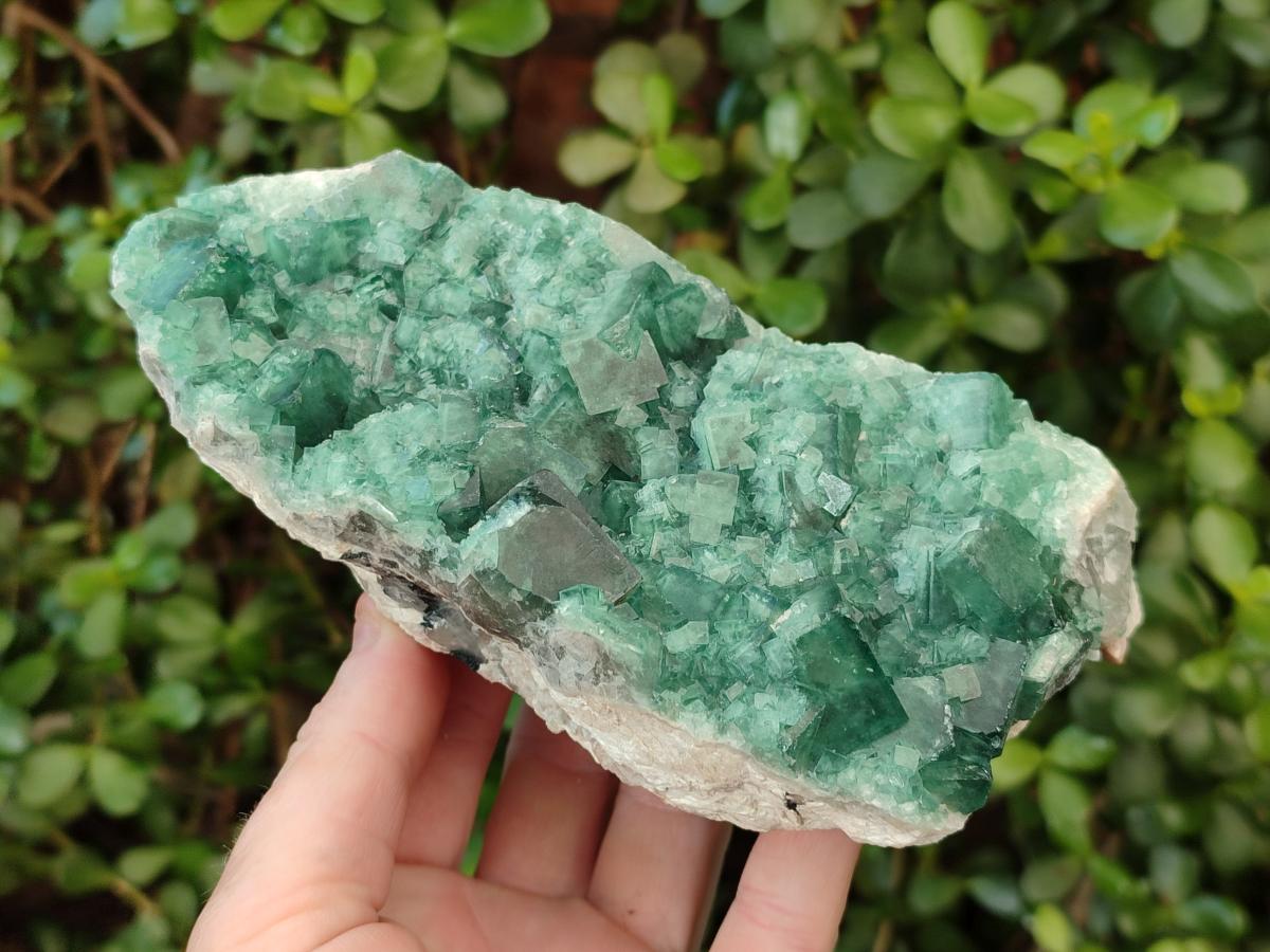 Natural Green Cubic Fluorite Specimens x 3 From Mandrosonoro, Madagascar - Toprock Gemstones and Minerals 