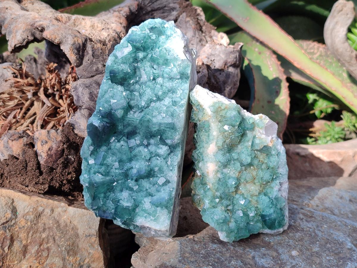 Natural Green Cubic Fluorite Specimens x 3 From Mandrosonoro, Madagascar - Toprock Gemstones and Minerals 