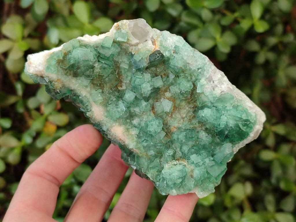 Natural Green Cubic Fluorite Specimens x 3 From Mandrosonoro, Madagascar - Toprock Gemstones and Minerals 