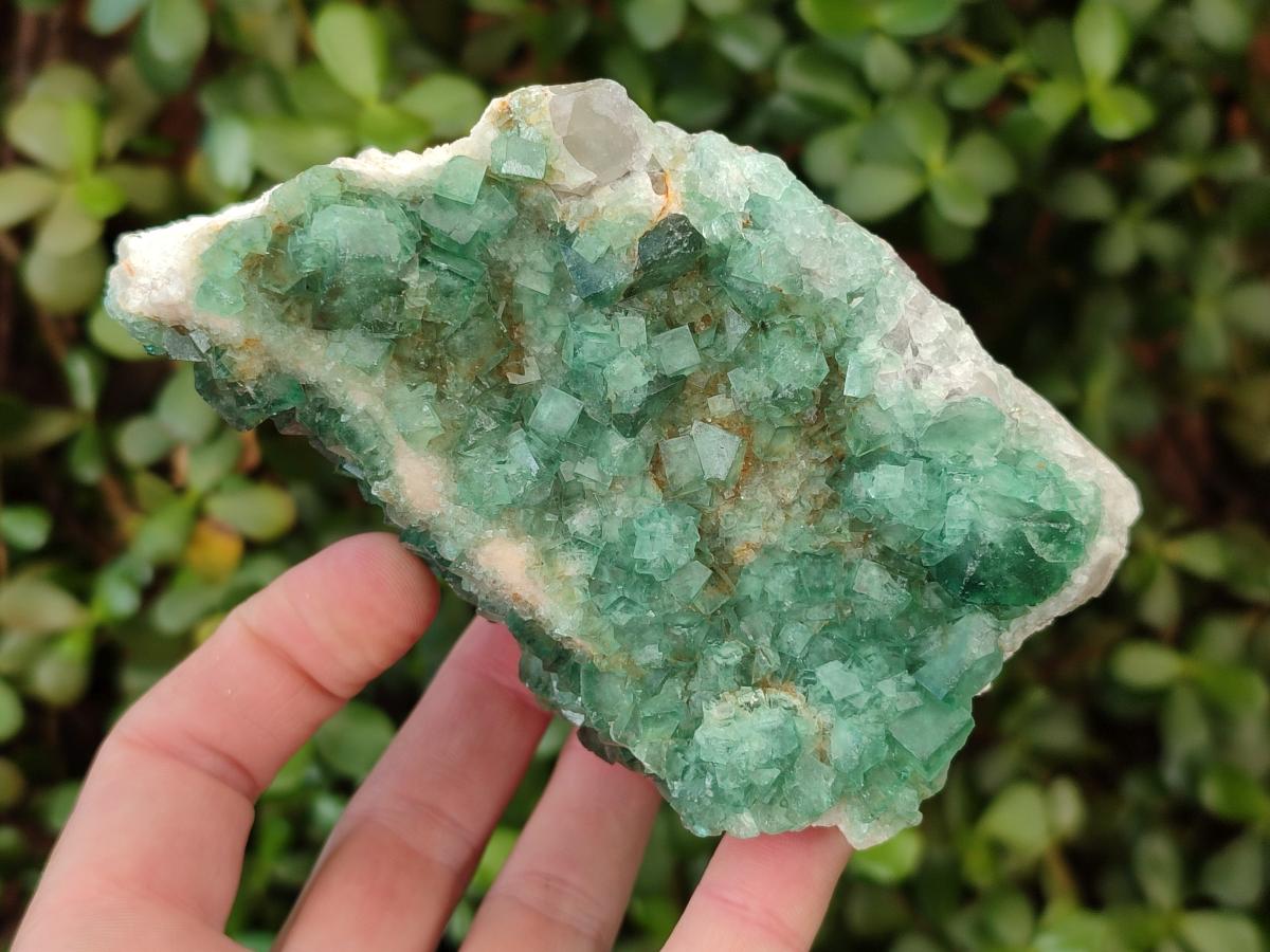 Natural Green Cubic Fluorite Specimens x 3 From Mandrosonoro, Madagascar - Toprock Gemstones and Minerals 