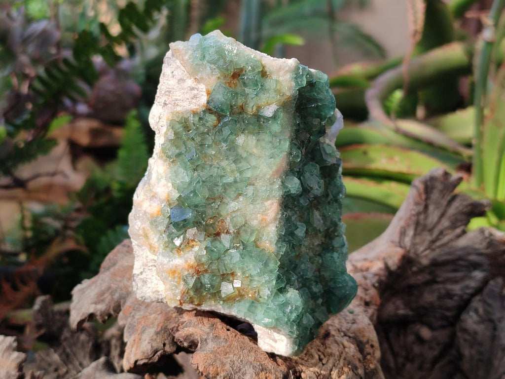 Natural Green Cubic Fluorite Specimens x 3 From Mandrosonoro, Madagascar - Toprock Gemstones and Minerals 