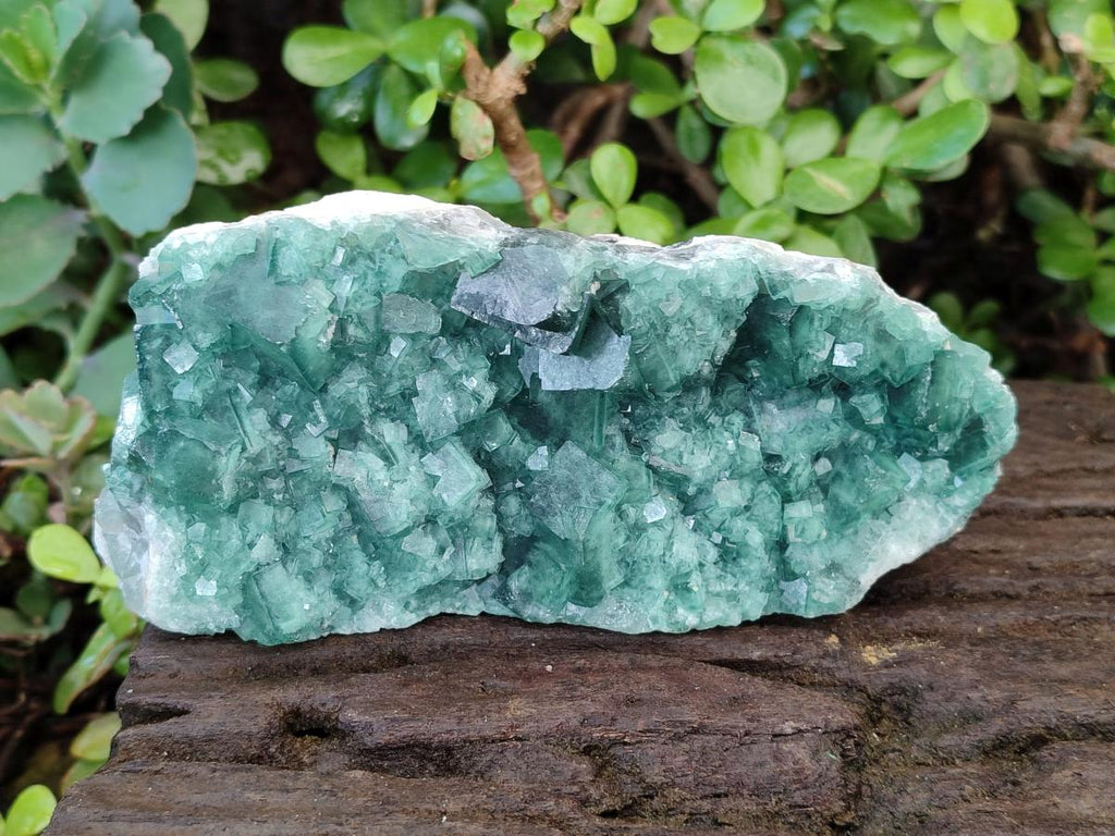 Natural Green Cubic Fluorite Specimens x 3 From Mandrosonoro, Madagascar - Toprock Gemstones and Minerals 