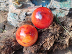 Polished Small Carnelian Agate Gemstone Spheres x 20 From Madagascar - Toprock Gemstones and Minerals 