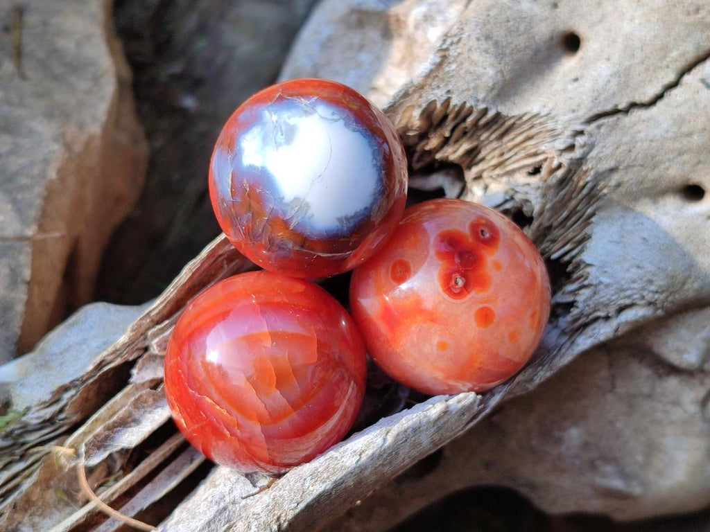 Polished Small Carnelian Agate Gemstone Spheres x 20 From Madagascar - Toprock Gemstones and Minerals 