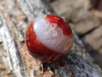 Polished Small Carnelian Agate Gemstone Spheres x 20 From Madagascar - Toprock Gemstones and Minerals 