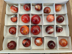 Polished Small Carnelian Agate Gemstone Spheres x 20 From Madagascar - Toprock Gemstones and Minerals 
