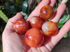 Polished Small Carnelian Agate Gemstone Spheres x 20 From Madagascar - Toprock Gemstones and Minerals 
