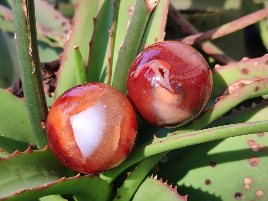 Polished Small Carnelian Agate Gemstone Spheres x 20 From Madagascar - Toprock Gemstones and Minerals 