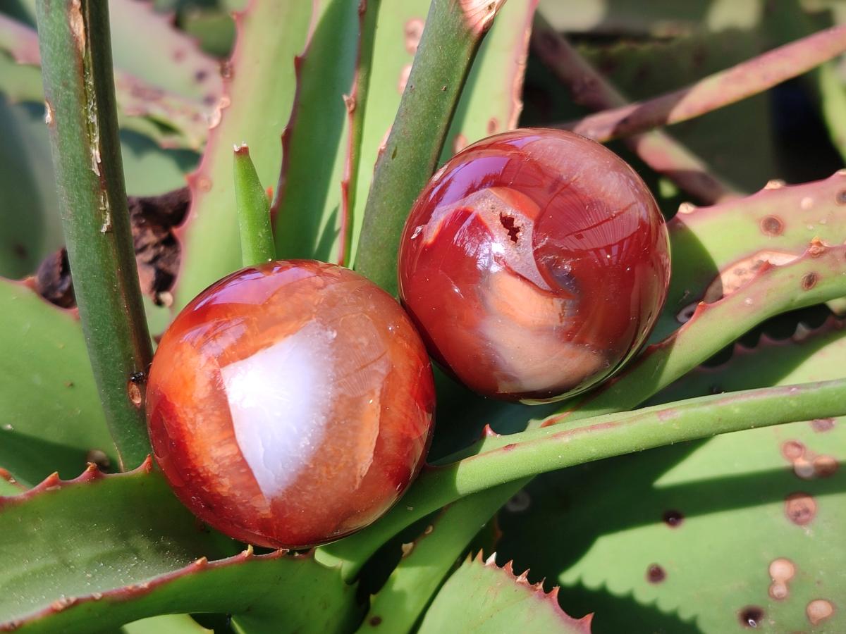 Polished Small Carnelian Agate Gemstone Spheres x 20 From Madagascar - Toprock Gemstones and Minerals 