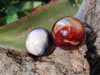 Polished Small Carnelian Agate Gemstone Spheres x 20 From Madagascar - Toprock Gemstones and Minerals 
