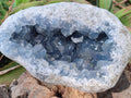 Natural Large Blue Celestite Geode Specimen x 1 From Sakoany, Madagascar - Toprock Gemstones and Minerals 
