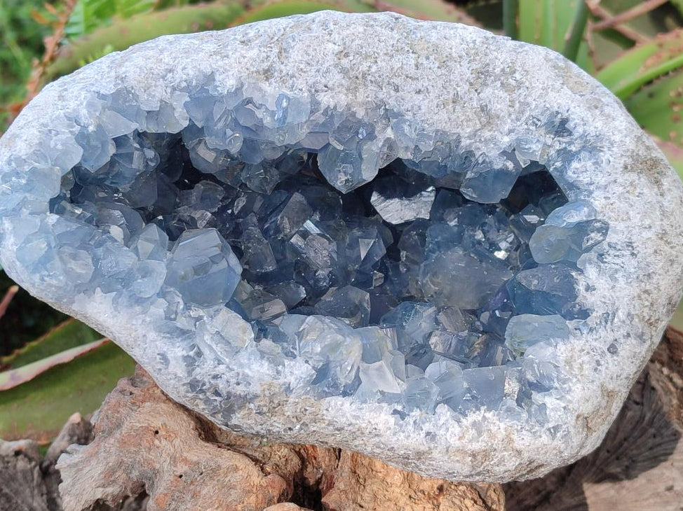Natural Large Blue Celestite Geode Specimen x 1 From Sakoany, Madagascar - Toprock Gemstones and Minerals 