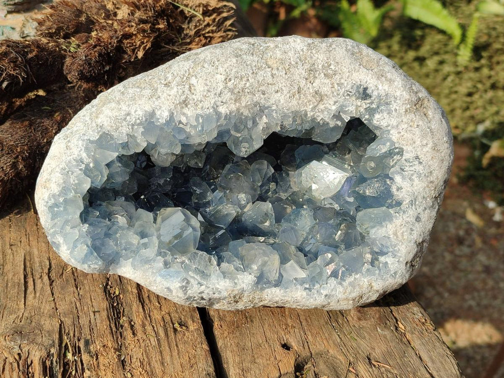 Natural Large Blue Celestite Geode Specimen x 1 From Sakoany, Madagascar - Toprock Gemstones and Minerals 