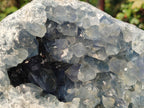 Natural Large Blue Celestite Geode Specimen x 1 From Sakoany, Madagascar - Toprock Gemstones and Minerals 