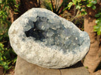 Natural Large Blue Celestite Geode Specimen x 1 From Sakoany, Madagascar - Toprock Gemstones and Minerals 