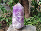 Polished Large Chevron Amethyst Display Crystal x 1 From Madagascar - Toprock Gemstones and Minerals 