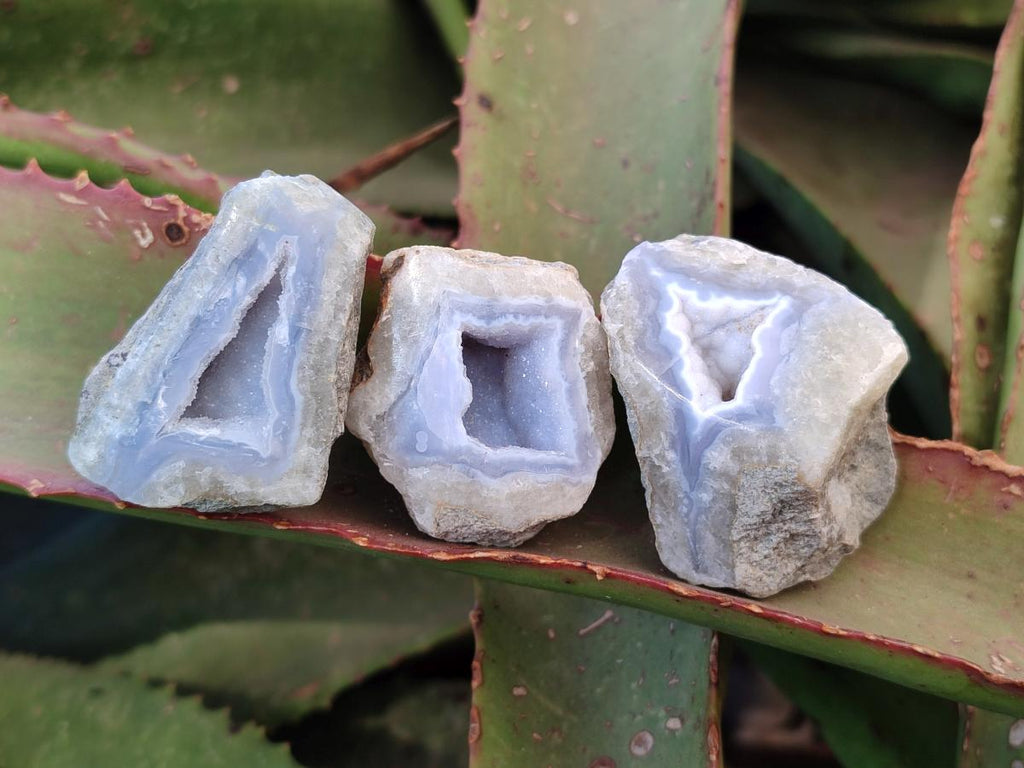 Polished Small On One Side Blue Lace Agate Geodes x 35 From Nsanje, Malawi - Toprock Gemstones and Minerals 