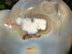 Polished Large Banded Agate Heart x 1 From Madagascar - Toprock Gemstones and Minerals 