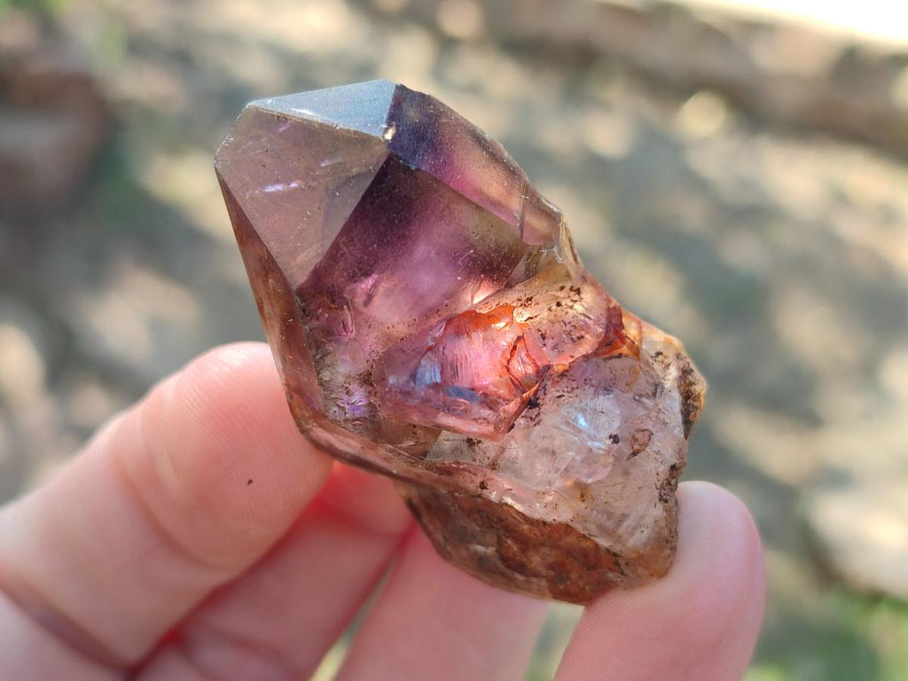 Natural Amethyt Crystals x 12 From Ashburton, South Africa - Toprock Gemstones and Minerals 