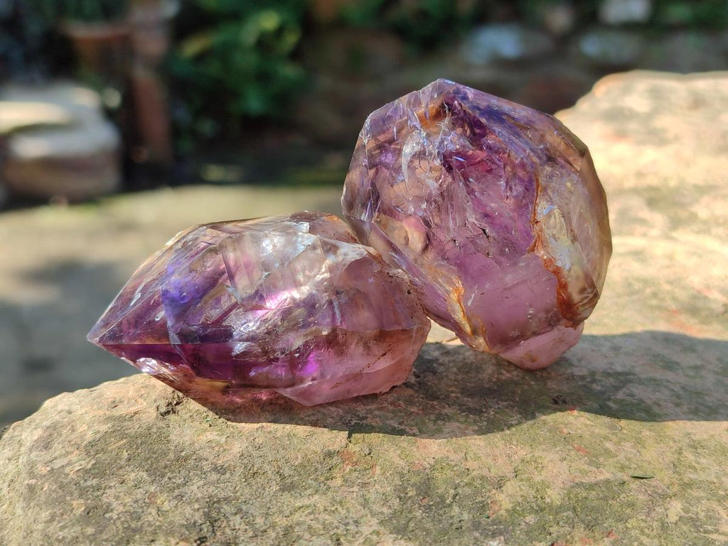 Natural Amethyt Crystals x 12 From Ashburton, South Africa - Toprock Gemstones and Minerals 