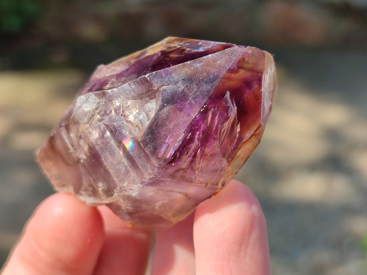 Natural Amethyt Crystals x 12 From Ashburton, South Africa - Toprock Gemstones and Minerals 