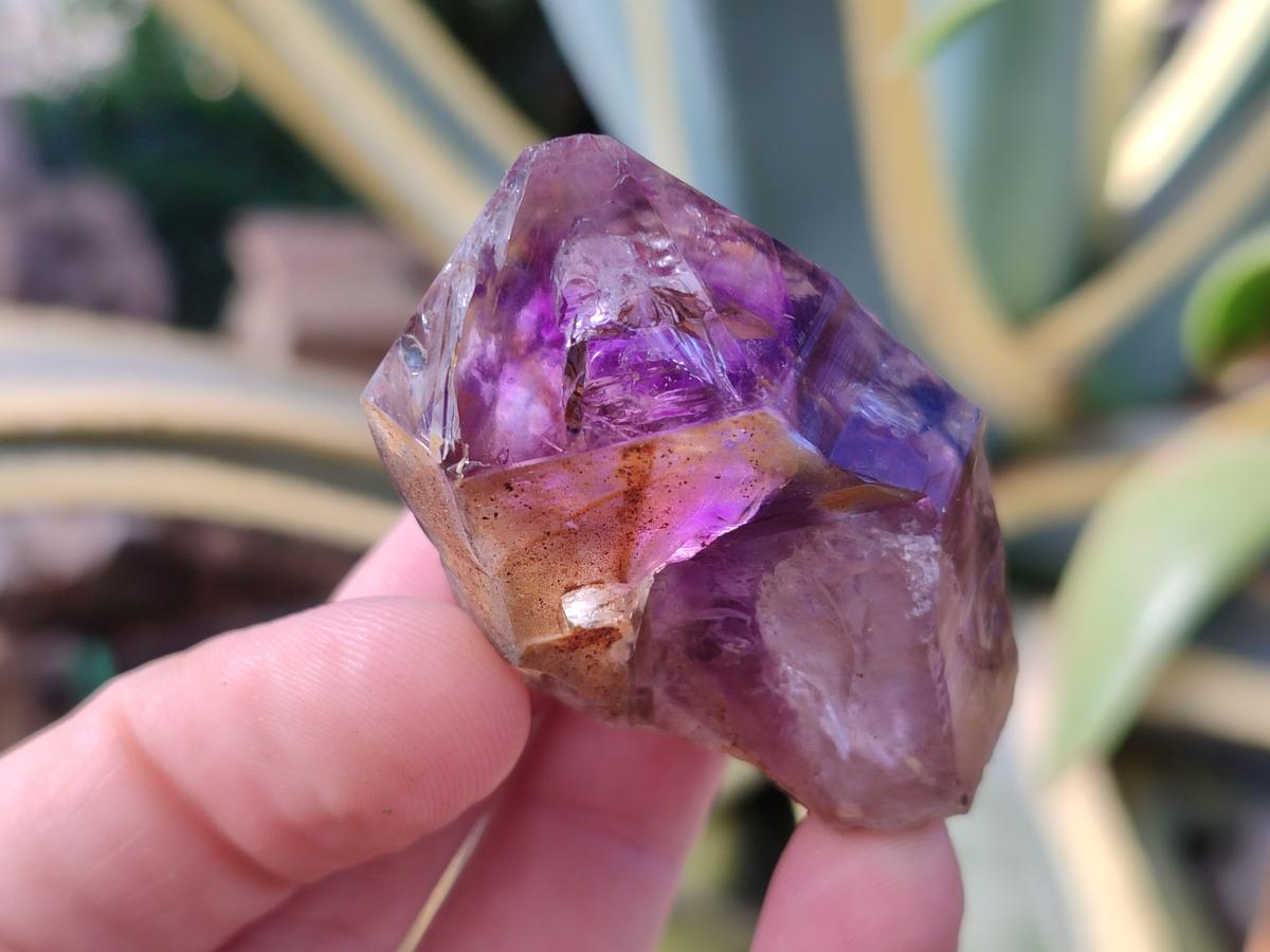 Natural Amethyt Crystals x 12 From Ashburton, South Africa - Toprock Gemstones and Minerals 