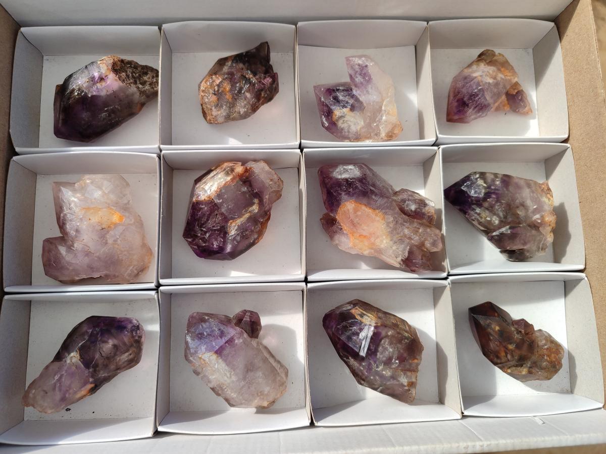 Natural Amethyt Crystals x 12 From Ashburton, South Africa - Toprock Gemstones and Minerals 