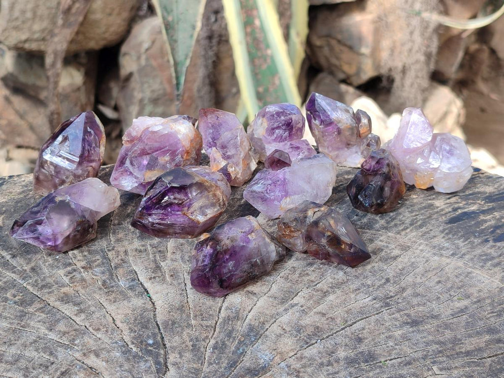 Natural Amethyt Crystals x 12 From Ashburton, South Africa - Toprock Gemstones and Minerals 