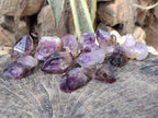Natural Amethyt Crystals x 12 From Ashburton, South Africa - Toprock Gemstones and Minerals 