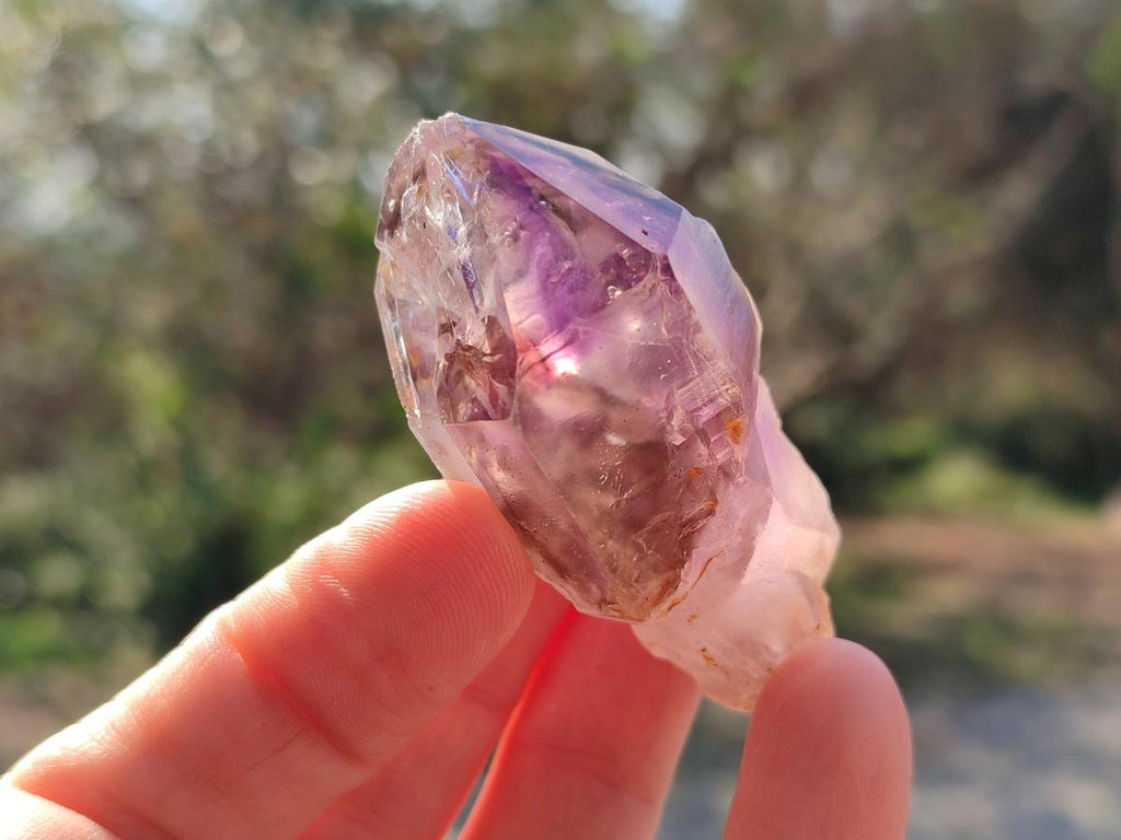 Natural Amethyt Crystals x 12 From Ashburton, South Africa - Toprock Gemstones and Minerals 