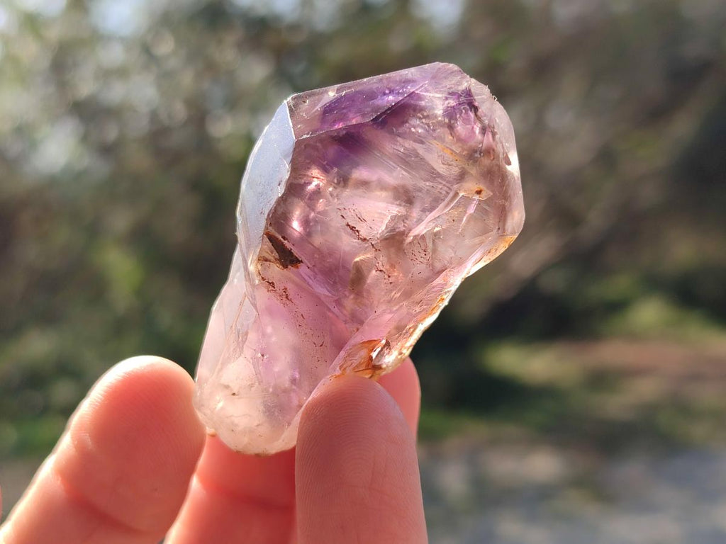 Natural Amethyt Crystals x 12 From Ashburton, South Africa - Toprock Gemstones and Minerals 