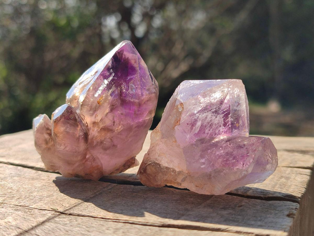 Natural Amethyt Crystals x 12 From Ashburton, South Africa - Toprock Gemstones and Minerals 