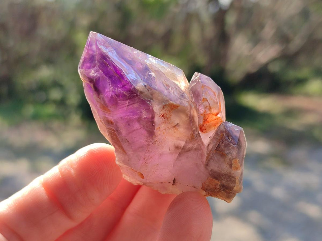Natural Amethyt Crystals x 12 From Ashburton, South Africa - Toprock Gemstones and Minerals 