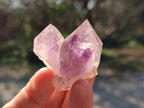 Natural Amethyt Crystals x 12 From Ashburton, South Africa - Toprock Gemstones and Minerals 